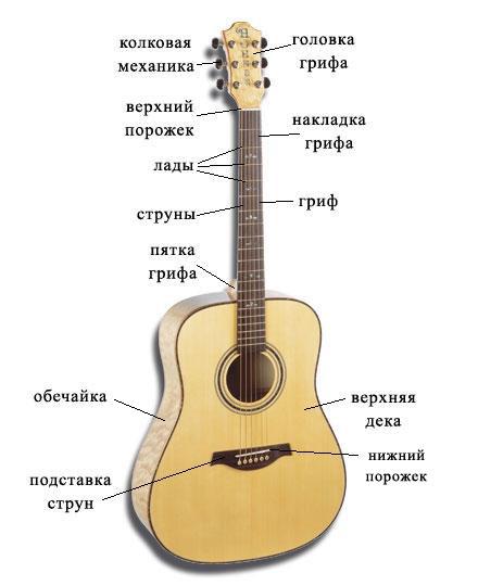 gitara11